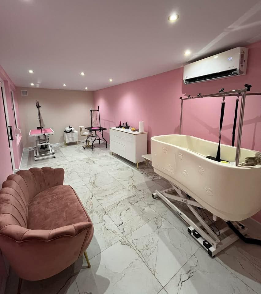 Wnętrze Salonu Psiej Elegancji